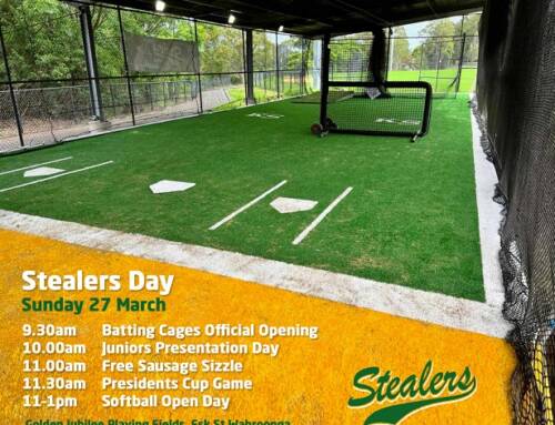 Stealers Day Sunday 27 March